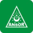 GP Ansor-icoon