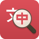 Any Chinese Translator APK