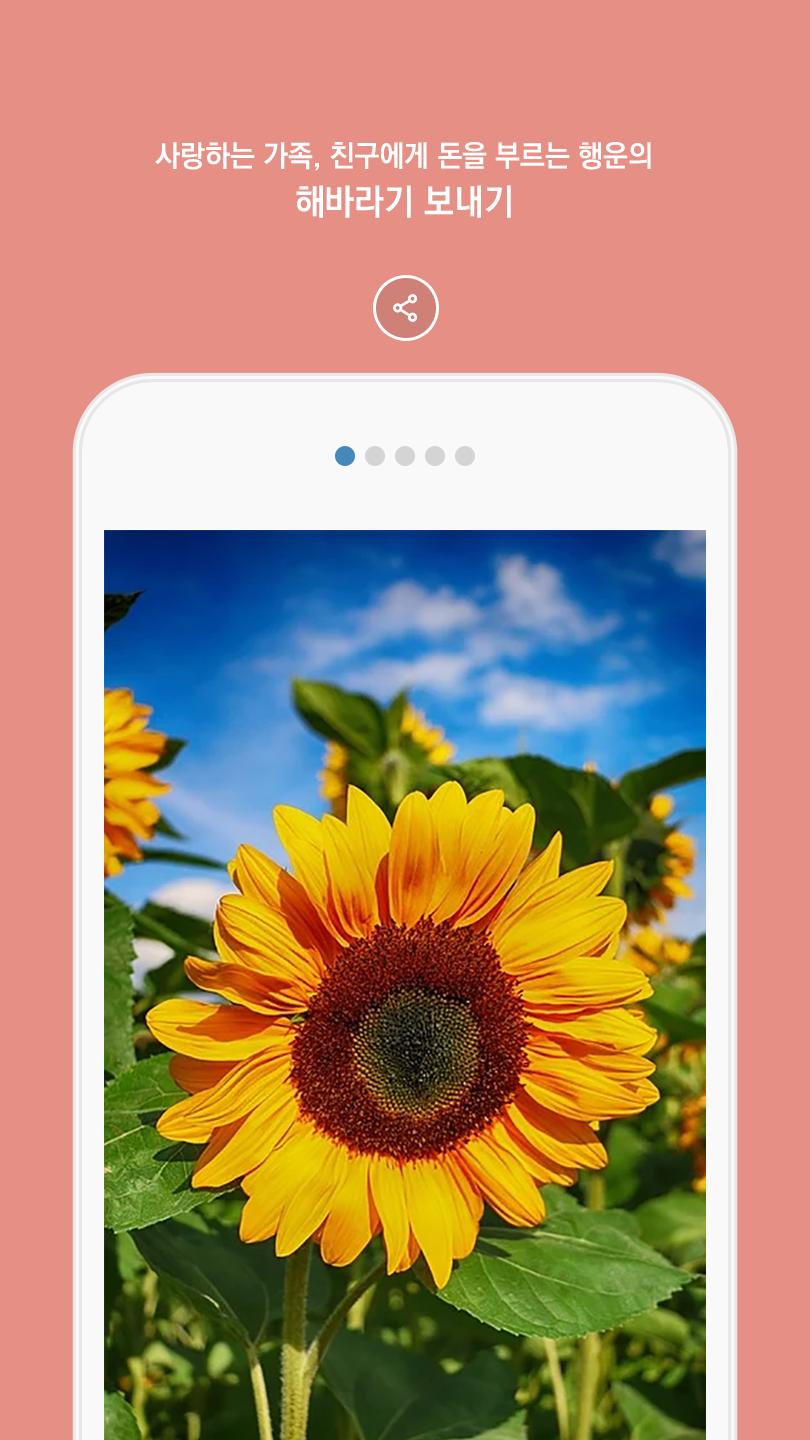 행운과 돈을 부르는 해바라기 스마트폰 배경화면 보내기 Apk للاندرويد تنزيل