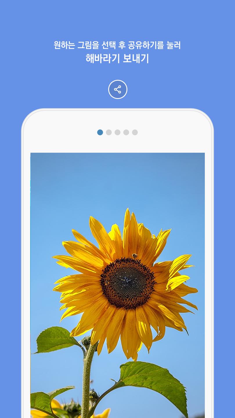 행운과 돈을 부르는 해바라기 스마트폰 배경화면 보내기 Apk للاندرويد تنزيل