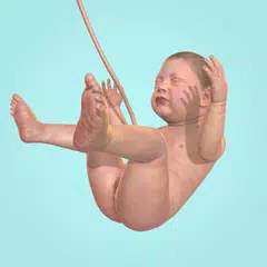 胎児育成シミュレーター (Idle 9 Months) アプリダウンロード