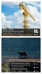 Скачать GPS Map Camera XAPK