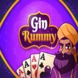 Gin Rummy