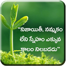 Telugu Quotation Wallpaper APK