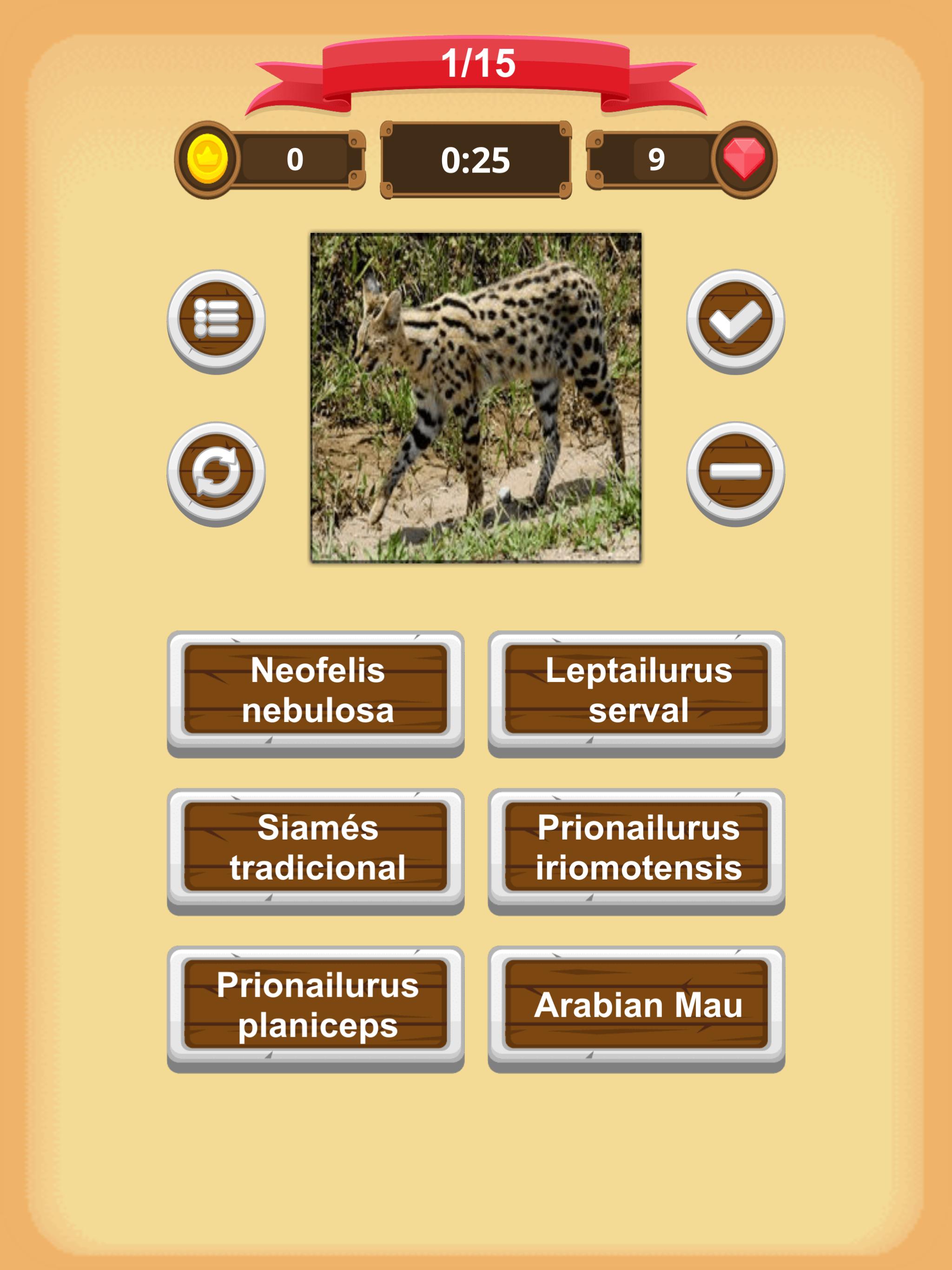 Gatos Quiz For Android Apk Download - siames the wolf roblox