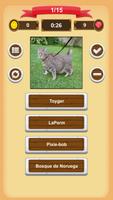 Gatos - Quiz captura de pantalla 1