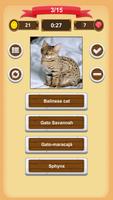Gatos - Quiz imagem de tela 1