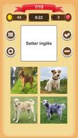 Cães - Quiz imagem de tela 1