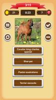 Cães - Quiz imagem de tela 3