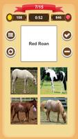 برنامه‌نما Horse Coat Colors Quiz عکس از صفحه