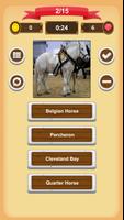 Pferde - Quiz Screenshot 1