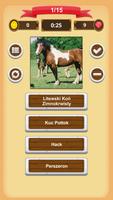 Rasy Koni - Quiz screenshot 1
