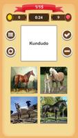 Rasy Koni - Quiz screenshot 3