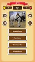 Cavalos - Quiz imagem de tela 2