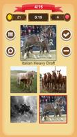 Cavalos - Quiz imagem de tela 3