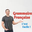 Grammaire française pour les nuls 2020 APK