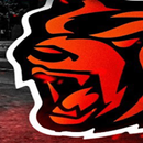 Black Russian RP APK