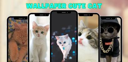 Wallpaper Cat Cute HD Affiche