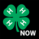 4-H Now - Find Events & 4-H Or icône