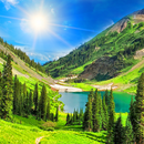 Wallpapers APK