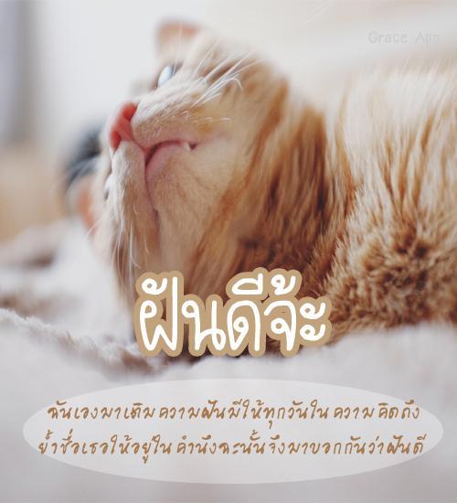 My Image 19