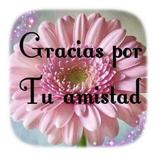 imagenes dando gracias , muchas gracias