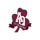 AQ Evermore APK