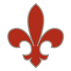Connect STC icon