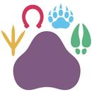 Pawsibilities APK