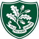 The Forest Network APK