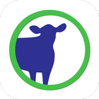 Cattle Market Mobile icono