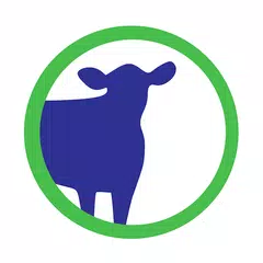 Cattle Market Mobile XAPK download