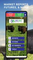 Cattle Market Mobile 포스터