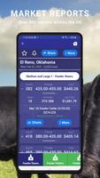 Cattle Market Mobile 스크린샷 1