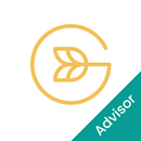 APK GD Advisor