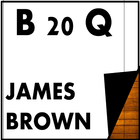 James Brown Best 20 Quotes icône