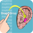 Drag&Drop Reflexology- ears أيقونة