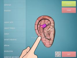 Drag&Drop Reflexology- ears poster