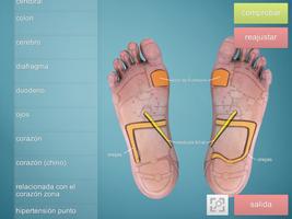 Drag&Drop Reflexology (foot) captura de pantalla 1