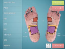 Drag&Drop Reflexology (foot) スクリーンショット 1