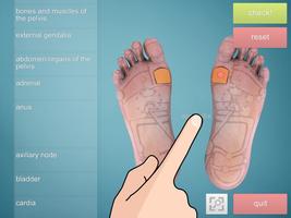 Drag&Drop Reflexology- foot poster