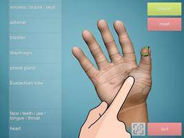 Drag&Drop Reflexology - hands Cartaz