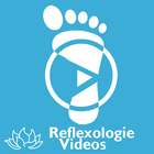 Reflexologie videos 아이콘