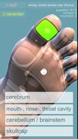 Reflexology Quiz 3D screenshot 1