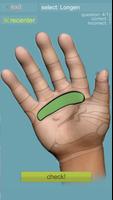 Reflexology Quiz 3D screenshot 2