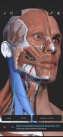 پوستر Visual Anatomy 3D - Human body
