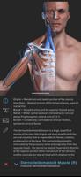 Visual Anatomy 3D - Human body syot layar 1