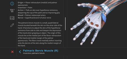 Visual Anatomy 3D - Human body capture d'écran 2