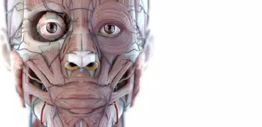 Visual Anatomy 3D