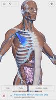 Visual Anatomy 3D - Human โปสเตอร์